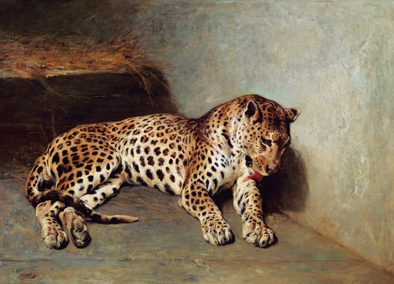 The Leopard from John Sargent Noble