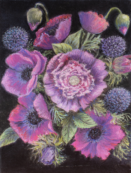 Anemones and thistles from Margo Starkey