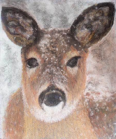 Young Deer in Winter