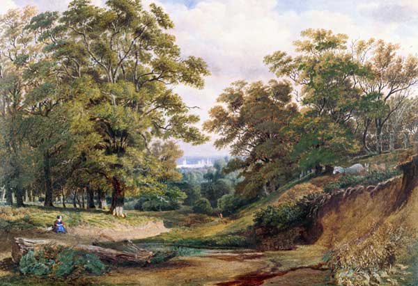 A Scene in Bagley Wood near Oxford (w/c and bodycolour) from William Turner