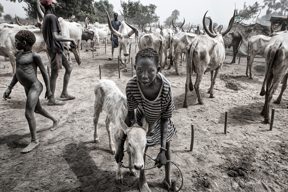 A scene of life in a mundari cattle camp - South Sudan from Joxe Inazio Kuesta Garmendia