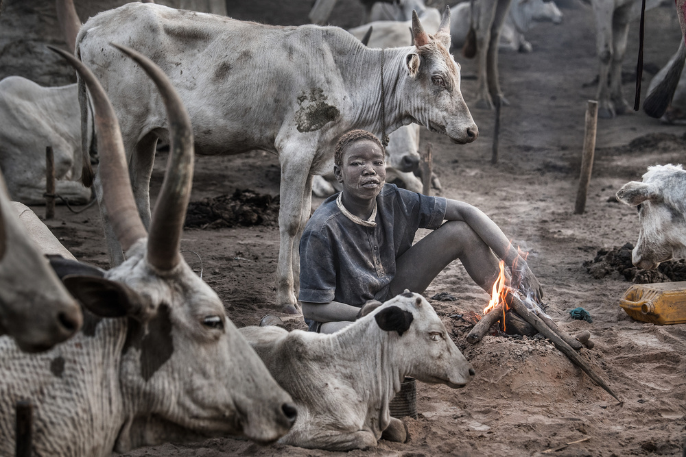 A scene of a Mundari cattle camp-II - South Sudan from Joxe Inazio Kuesta Garmendia