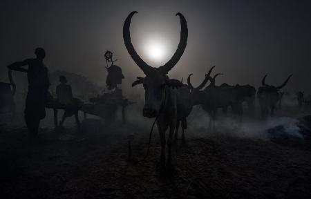 At a Mundari cattle camp - South Sudan