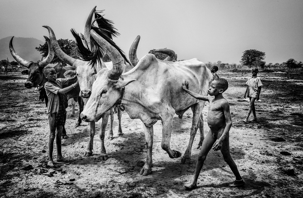 Mundari tribe children taking care of the cattle - South Sudan from Joxe Inazio Kuesta Garmendia