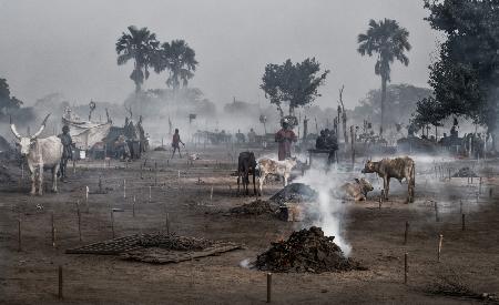 Life in a Mundari cattle camp - South Sudan