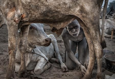 Mundari boy colleting dung - South Sudan
