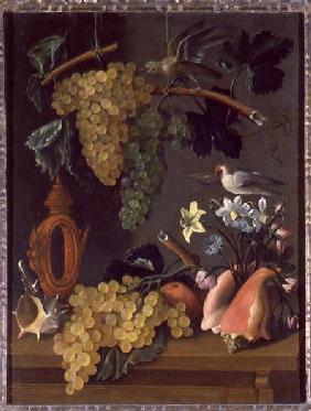 Still Life with Grapes, Birds, Flowers and Shells
