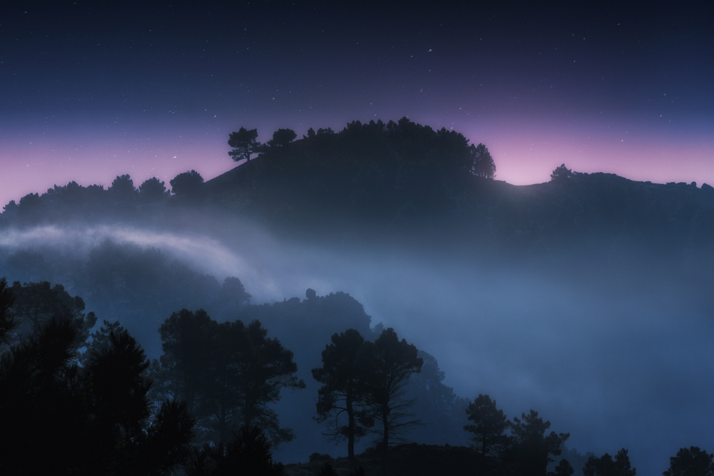 Foggy Sunrise. from Juan Pablo de Miguel