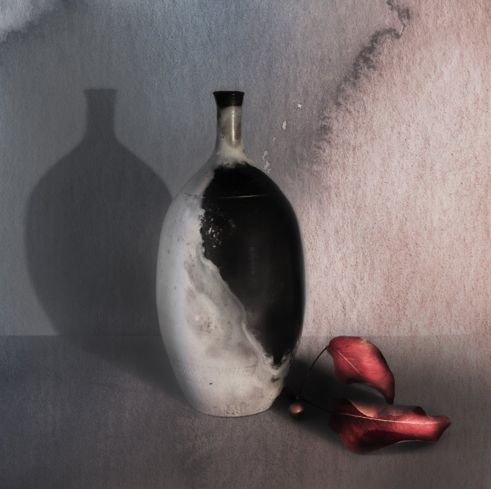 vase and shadow from Judy Tseng