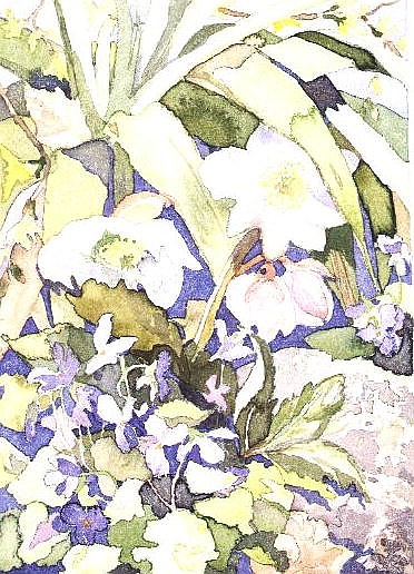 February Flowers, 1992  from Julia  Gibson