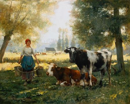 Milking girl with his cows