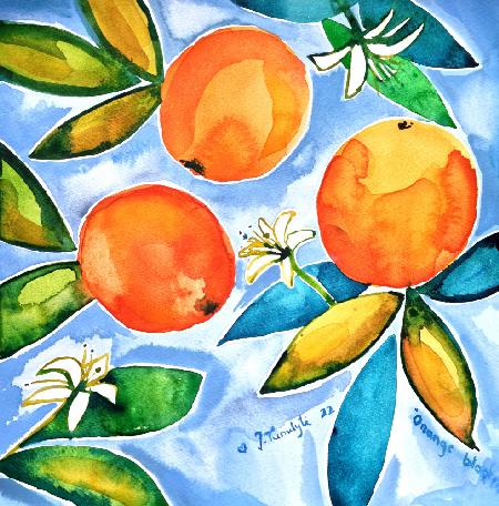 Oranges Blooming