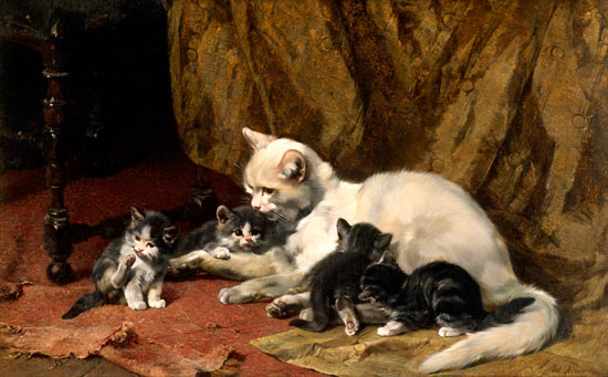 Cat with four boys on an old carpet. from Julius Adam