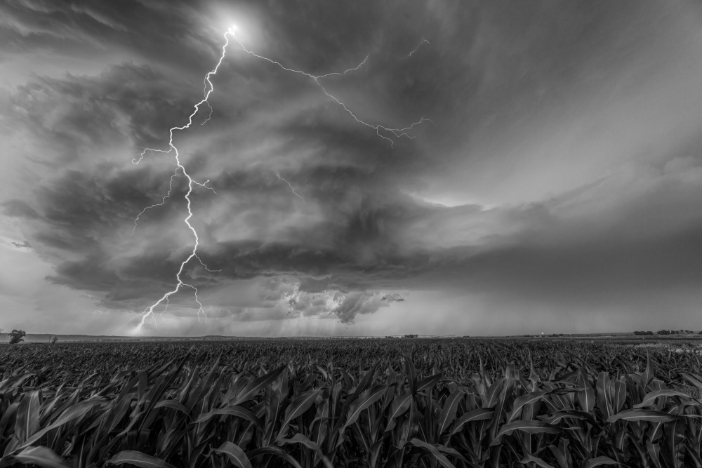 Supercell from Jun Zuo