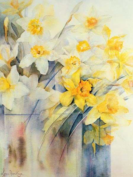 Mixed Daffodils in a Tank  from Karen  Armitage