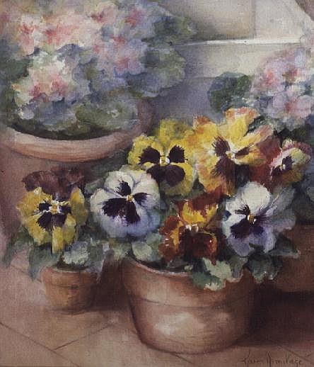 Pansies in a Conservatory  from Karen  Armitage