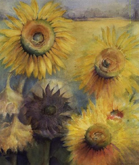 Sunflowers  from Karen  Armitage