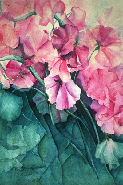 Sweet Peas, Pink Pride (vertical)  from Karen  Armitage