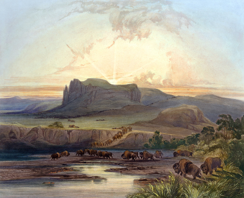 Herd of Bison on the Upper Missouri, plate 40 from Volume 2 of 'Travels in the Interior of North Ame from Karl Bodmer