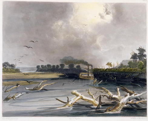Snags (sunken trees) on the Missouri, plate 6 from Volume 2 of 'Travels in the Interior of North Ame from Karl Bodmer