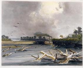 Snags (sunken trees) on the Missouri, plate 6 from Volume 2 of 'Travels in the Interior of North Ame