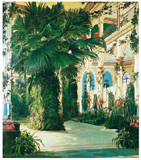 Interior of a Palm House - (BLK-02)