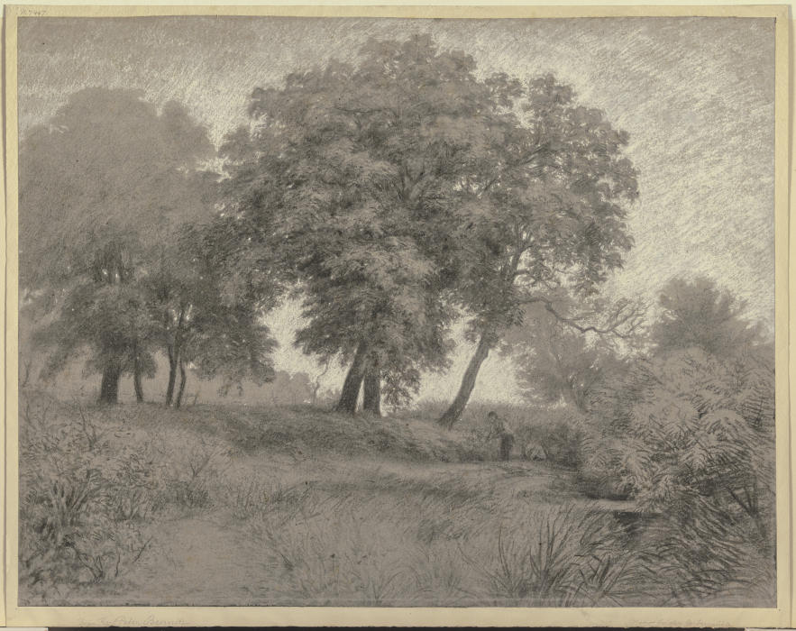 Mann auf einer bei der Gerbermühle gelegenen Wiese unter hohen Bäumen mähend from Karl Peter Burnitz