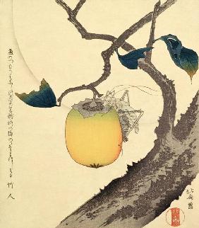 Moon, Persimmon and Grasshopper, 1807 (colour woodcut)