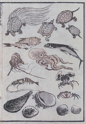 Undersea creatures, from a Manga (colour woodblock print) from Katsushika Hokusai