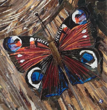 Awaken Peacock Butterfly On Woodpile