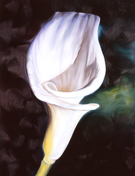 Virgin-Lily from James Knowles