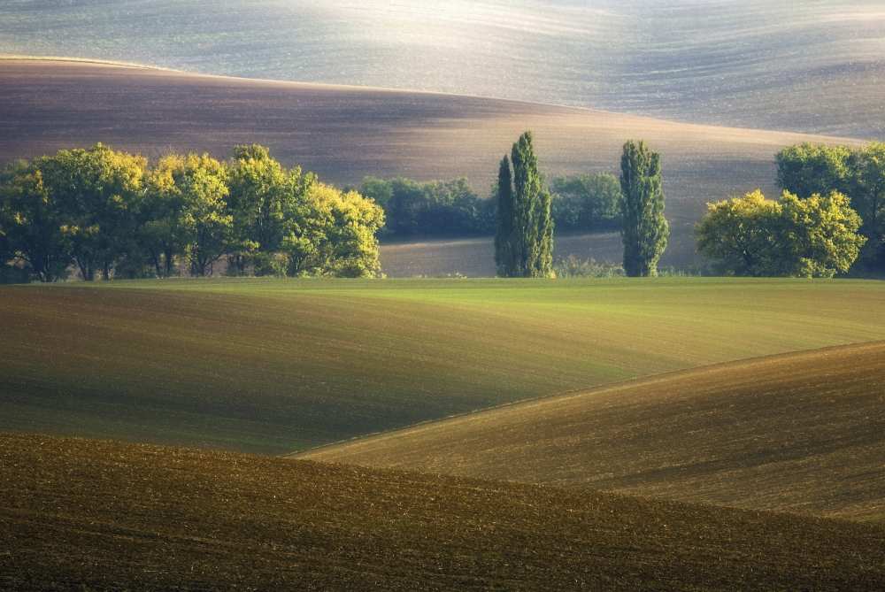 Brothers... from Krzysztof Browko