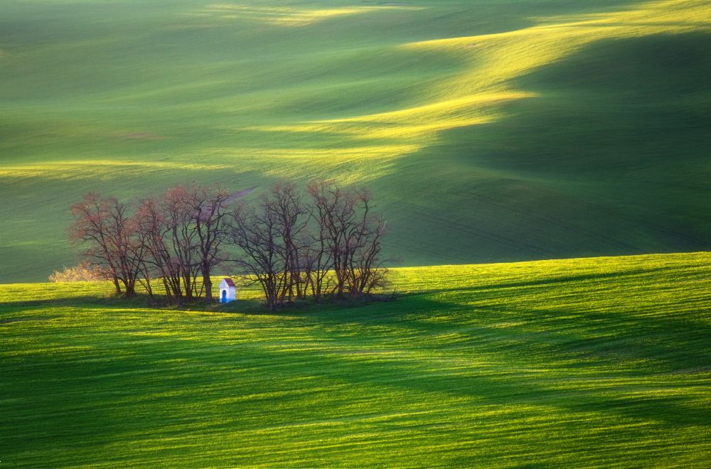 Fields... from Krzysztof Browko