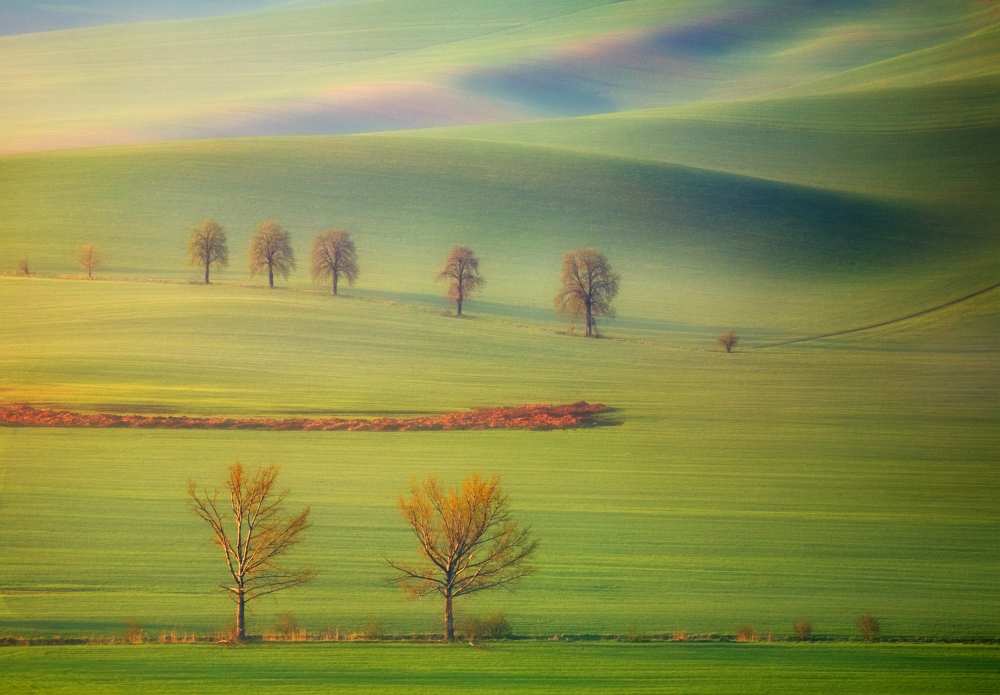 Fields from Krzysztof Browko