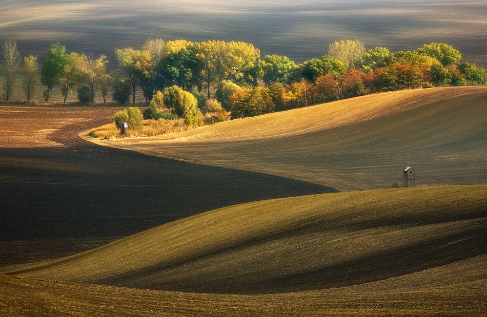 Autumn fields... from Krzysztof Browko