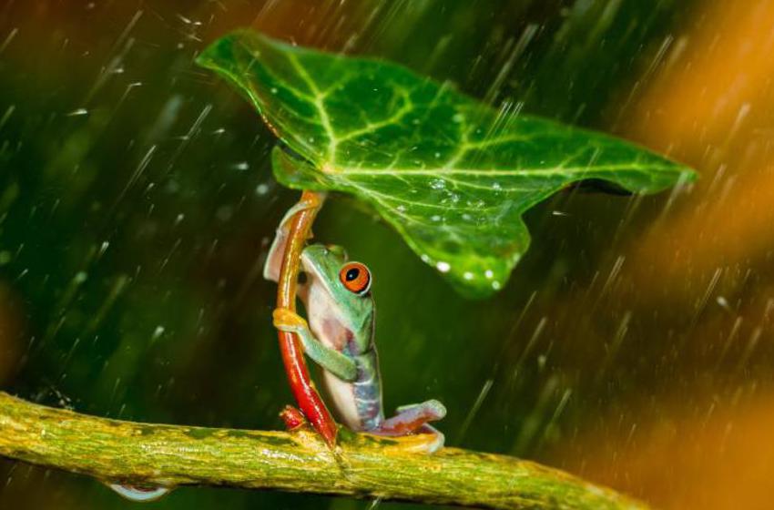 Kutub Uddin