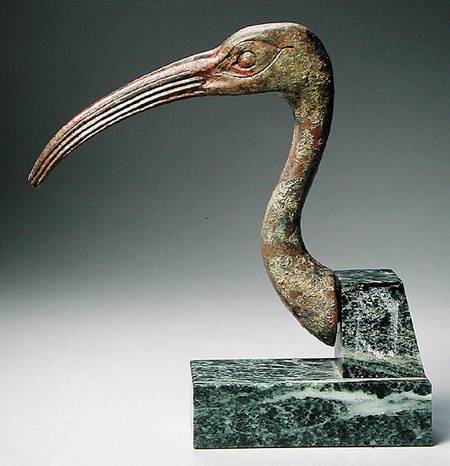 Head of an ibis from Late Period Egyptian