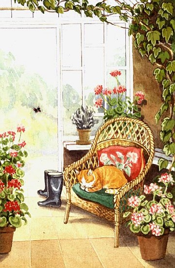 In the Conservatory from Lavinia  Hamer