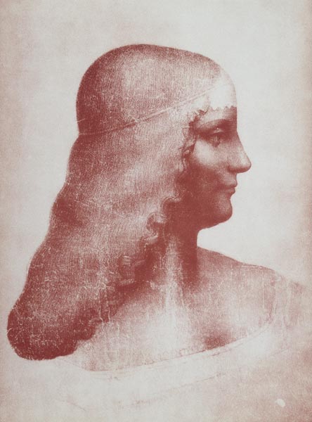 Head of a Woman in Profile from Leonardo da Vinci