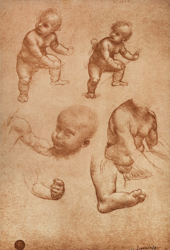 Study for a Portrait of a Child from Leonardo da Vinci