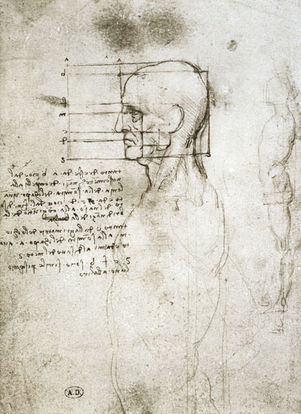 Head of an Old Man in Profile, facsimile copy  and from Leonardo da Vinci