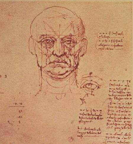 Drawing of the proportions of the head and eye from Leonardo da Vinci