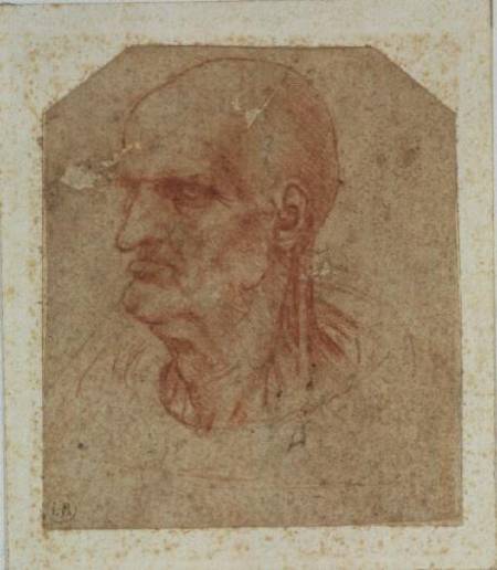 Head of a beardless old man, left profile from Leonardo da Vinci