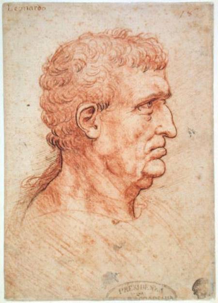 Head of a Man in Profile from Leonardo da Vinci