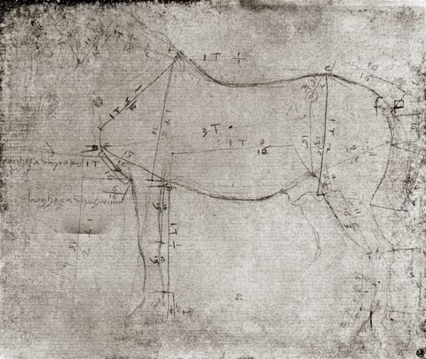 Study of a Horse from Leonardo da Vinci
