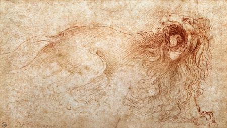 Sketch of a roaring lion