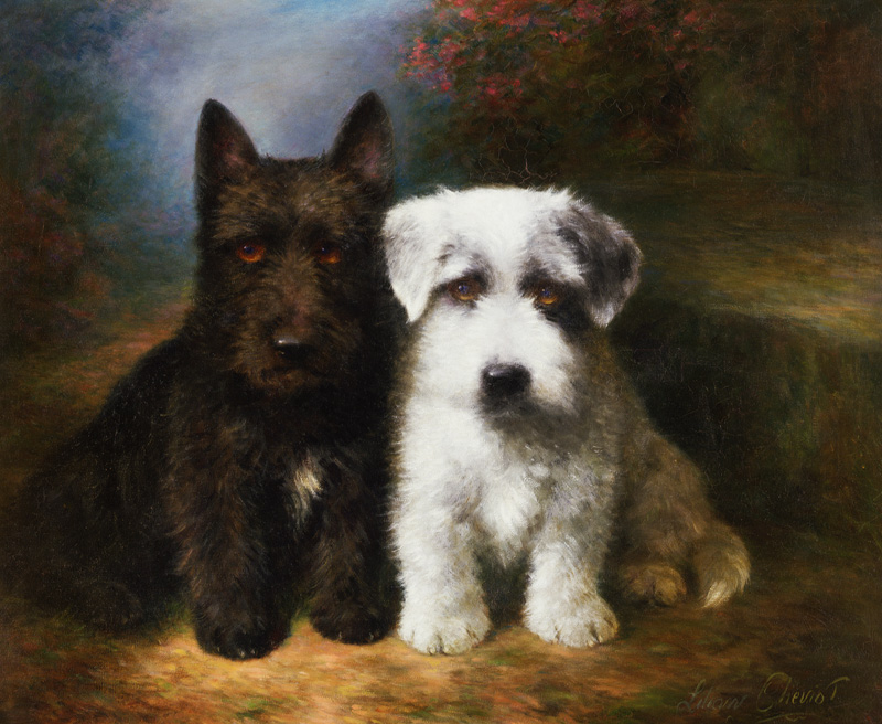 A Scottish and a Sealyham Terrier from Lilian Cheviot