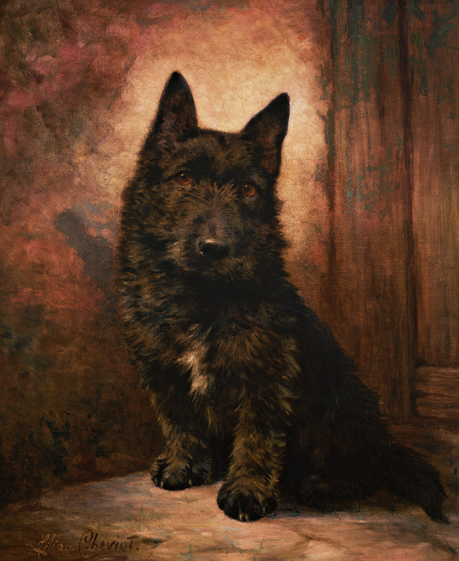 Scottie Puppy from Lilian Cheviot