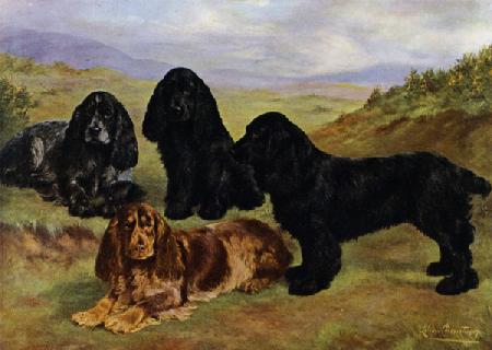 Cocker Spaniels