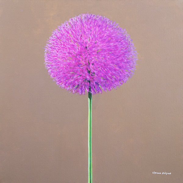 Alium (oil on canvas)  from Lincoln  Seligman